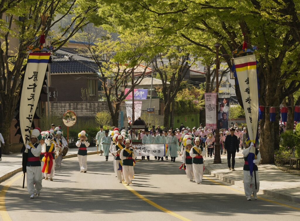A vibrant traditional Korean parade at the 2025 Yeongwol Danjong Cultural Festival. Performers in white folk costumes and colorful hats lead the 'Governor's Procession' (Busa Haengnyeol) down a tree-lined street, carrying large vertical banners with calligraphy and playing traditional instruments. Banners for the festival and lush green trees frame the historic re-enactment.