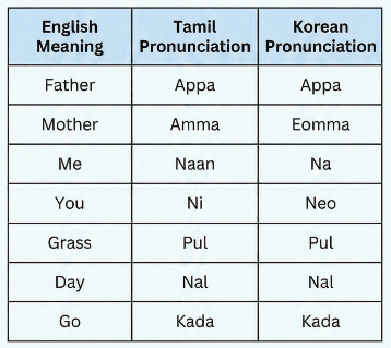 A comparison table showing seven words with strikingly similar pronunciations in Tamil and Korean. The words include Father (Appa), Mother (Amma/Eomma), Me (Naan/Na), You (Ni/Neo), Grass (Pul), Day (Nal), and Go (Kada).